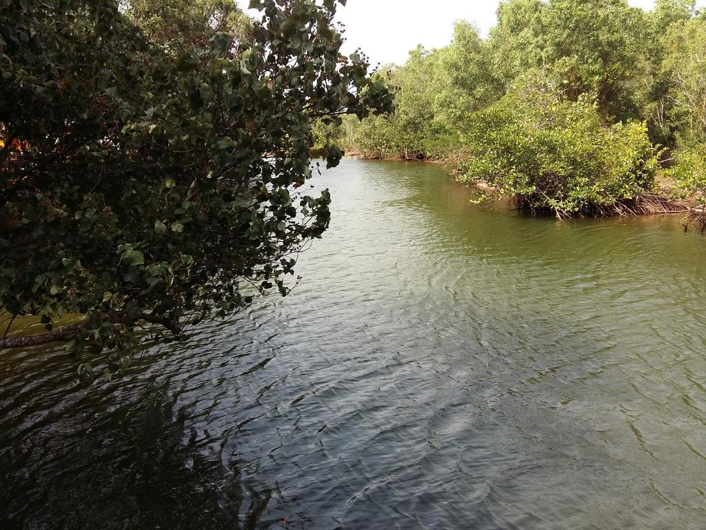 Mangroves & More @ Cambodia 시아누크빌 외부 사진